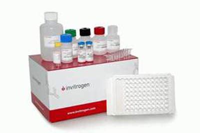 amyloid beta 42 human elisa kit|beta 42 elisa kits.